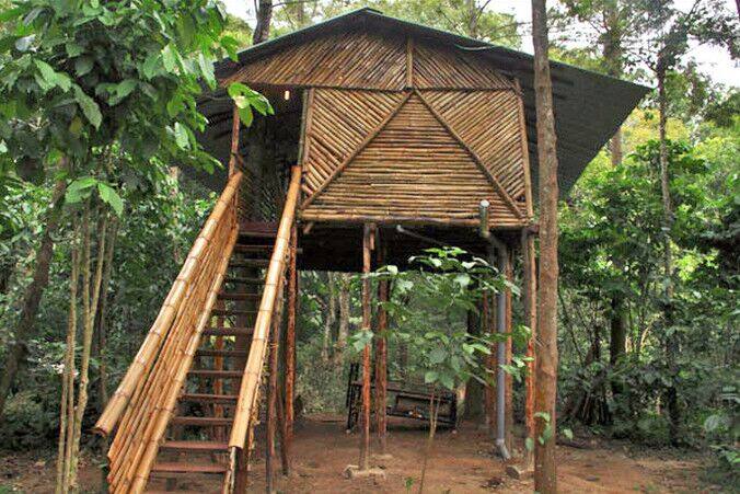 Deep Jungle Polo Cottage, Hyderabad 3